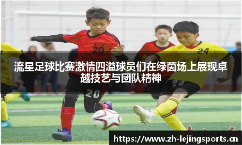 乐竞体育官方网站